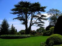 [garden]